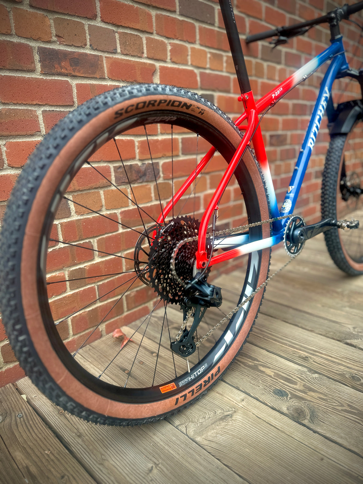 Ritchey P-29er