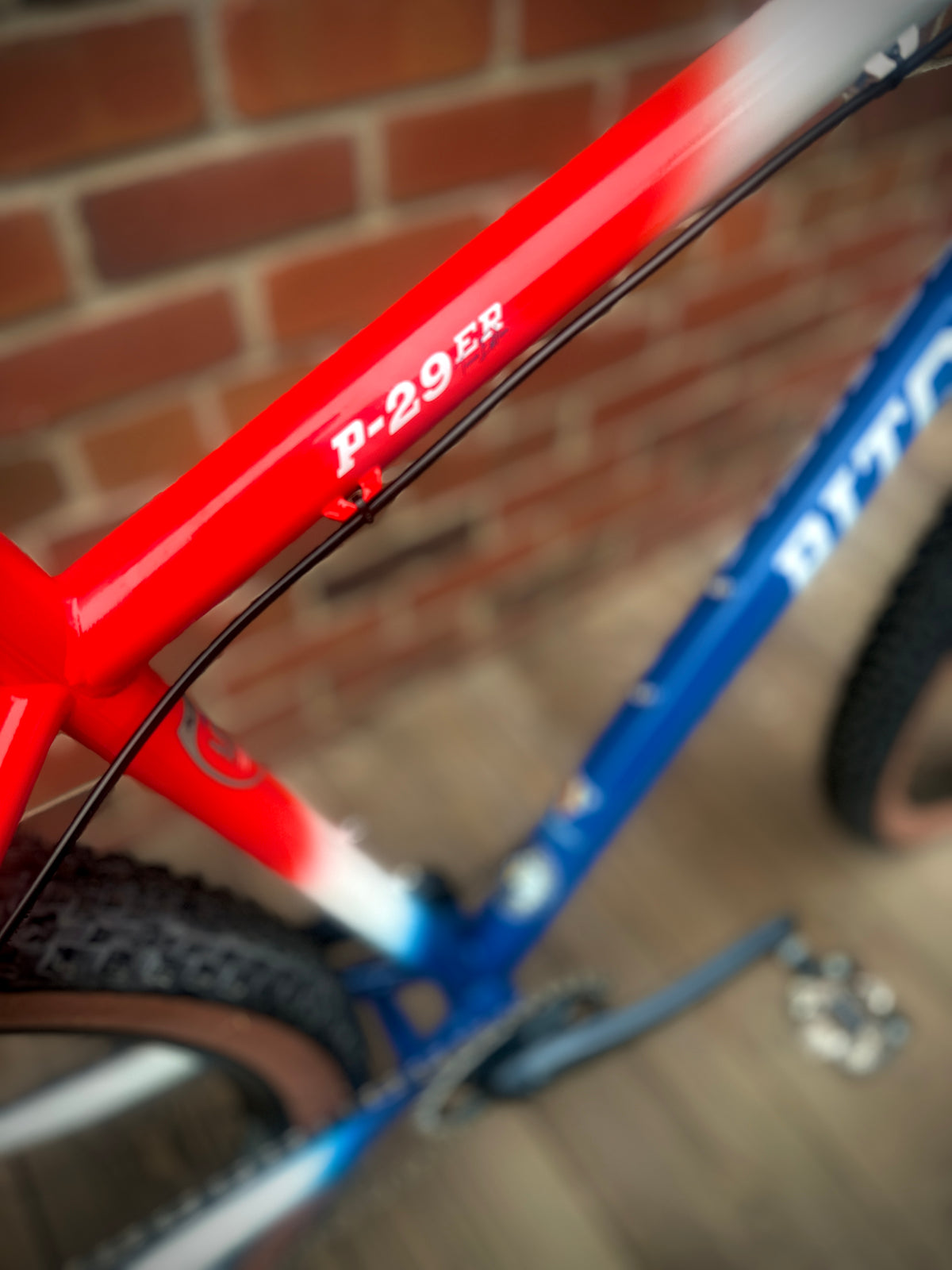 Ritchey P-29er