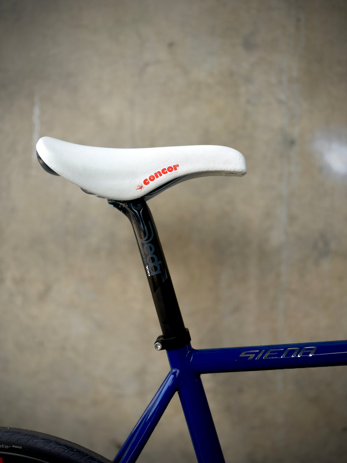 Battaglin Siena in blue, built at In Velo Veritas in Old Sacramento