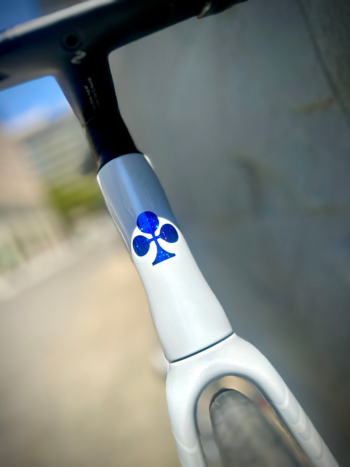 Colnago V5Rs — White
