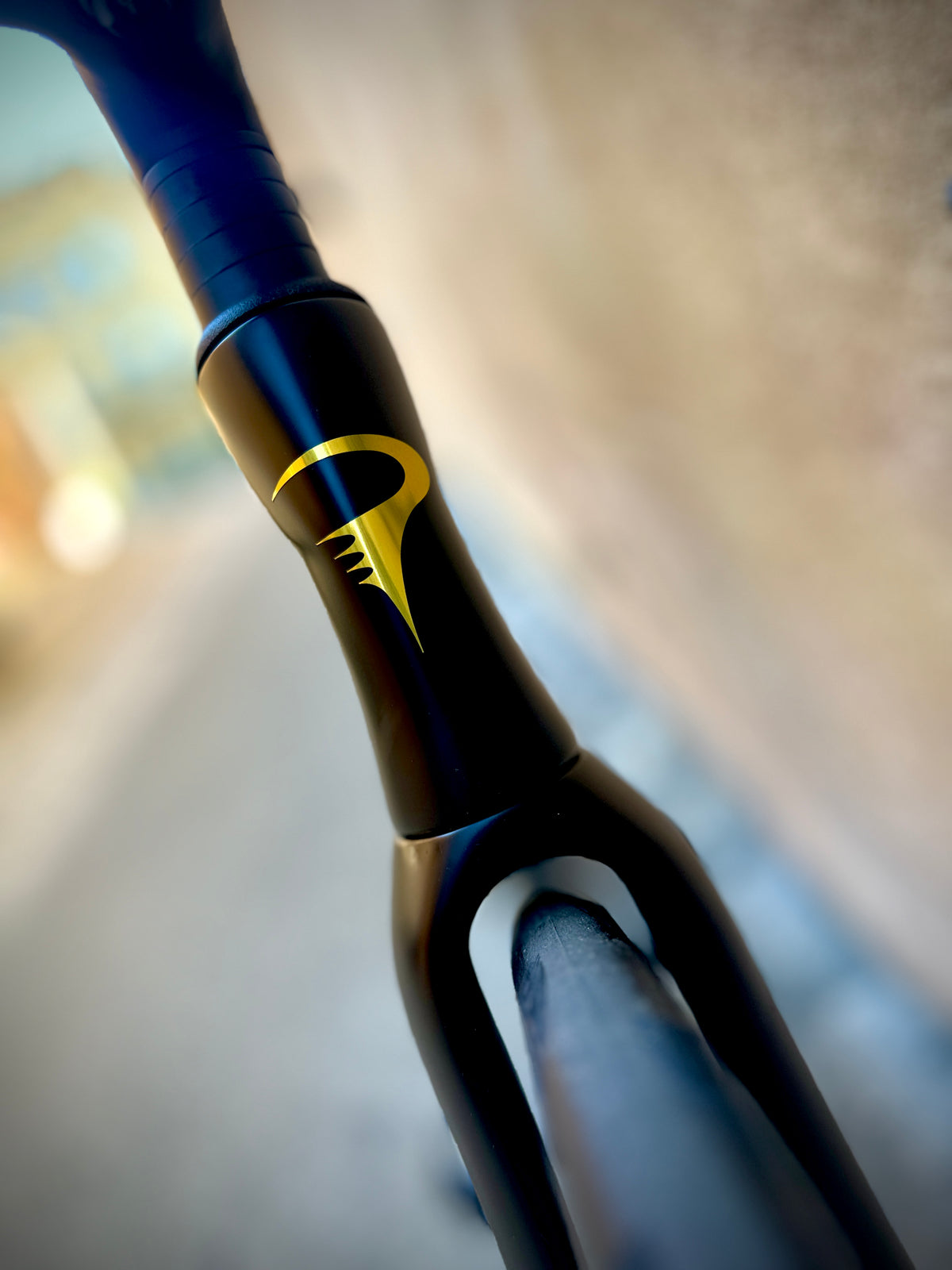 Pinarello Dogma X — Black