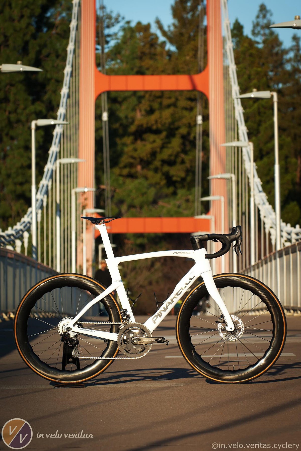Pinarello Dogma F in white, built at In Velo Veritas in Old Sacramento