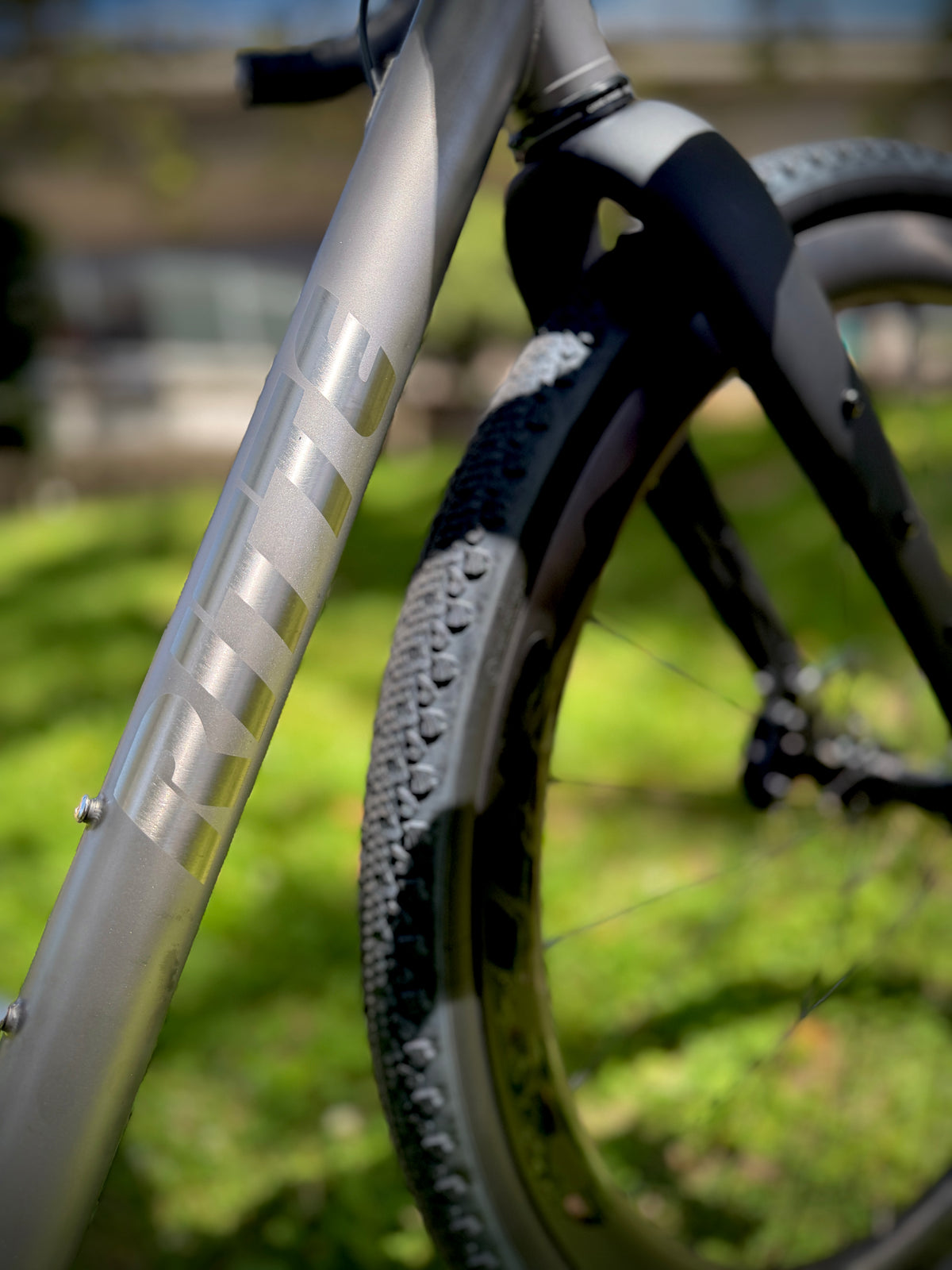 Ritte SaTir — Force AXS