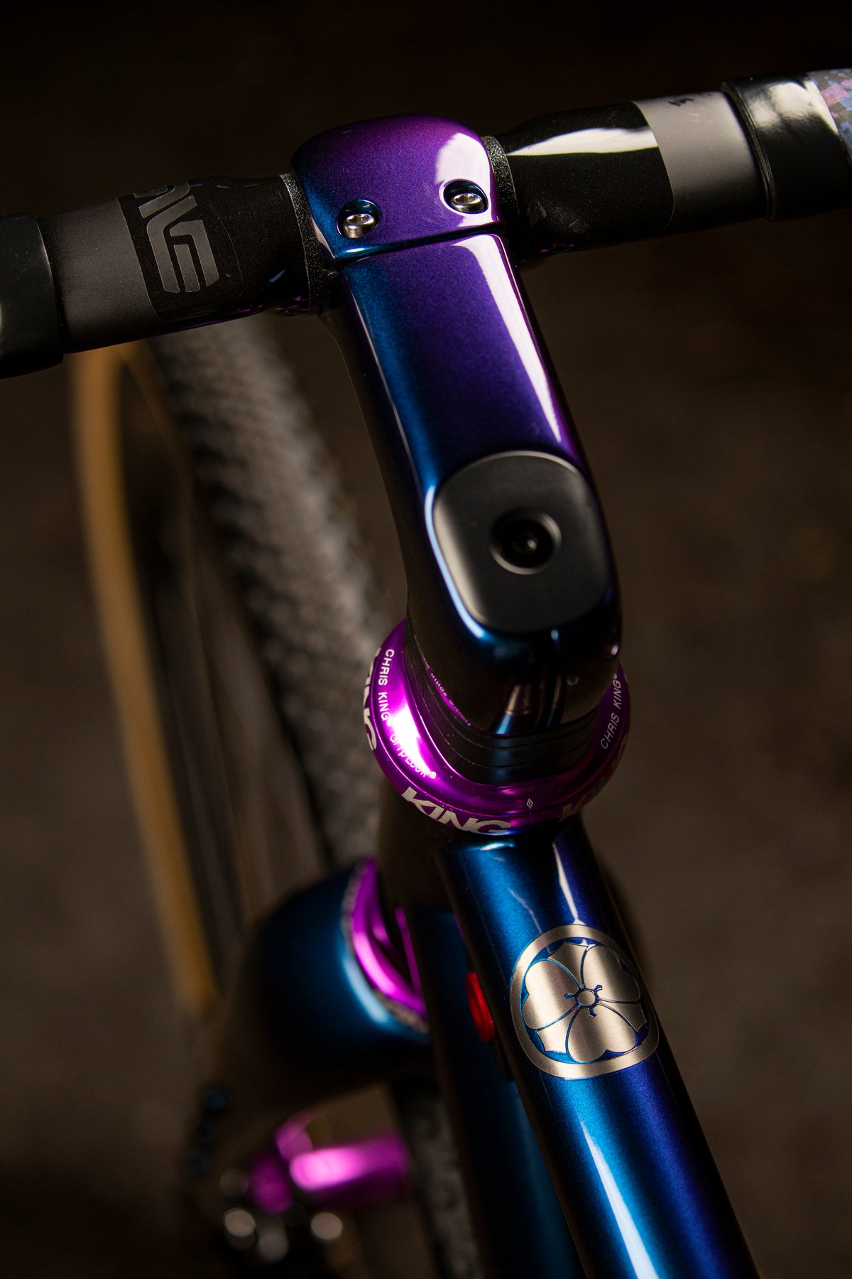 Ritte SaTir in purple, built at In Velo Veritas in Old Sacramento