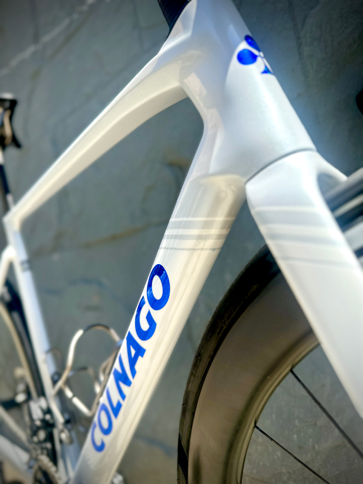 Colnago V5Rs — White
