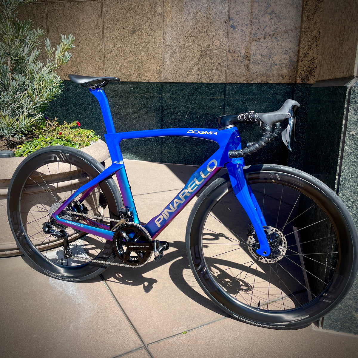 Pinarello Dogma F — Blue