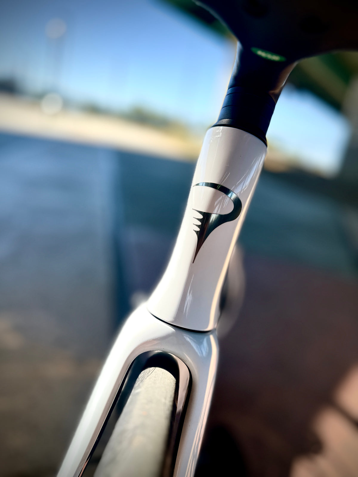 Pinarello Dogma F — White, Dura-Ace