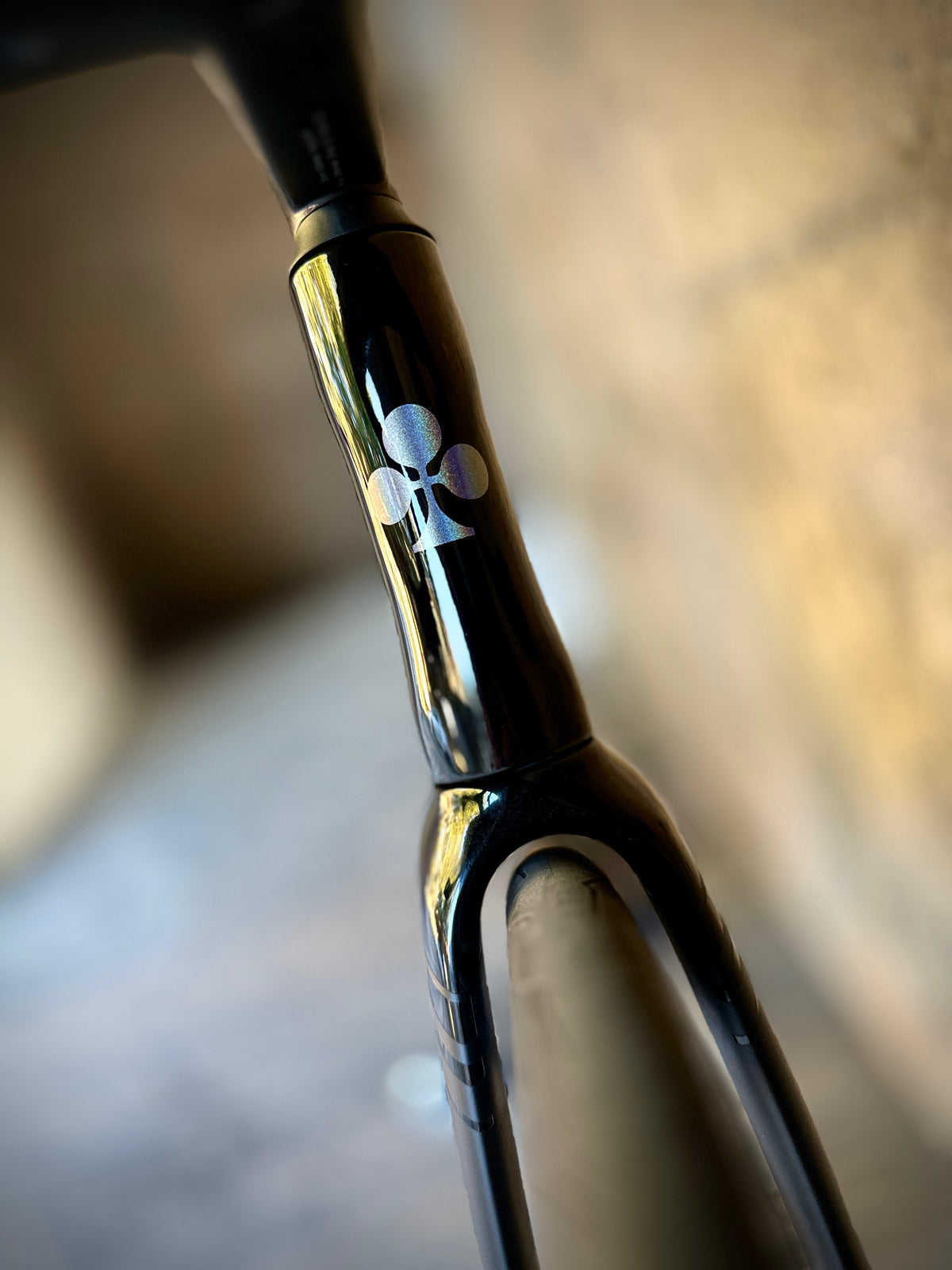 Colnago V5Rs in black, built at In Velo Veritas in Old Sacramento