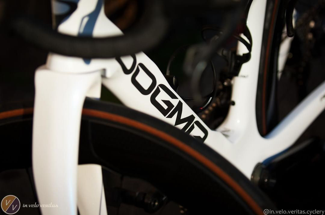 Pinarello Dogma F — White, Record EPS