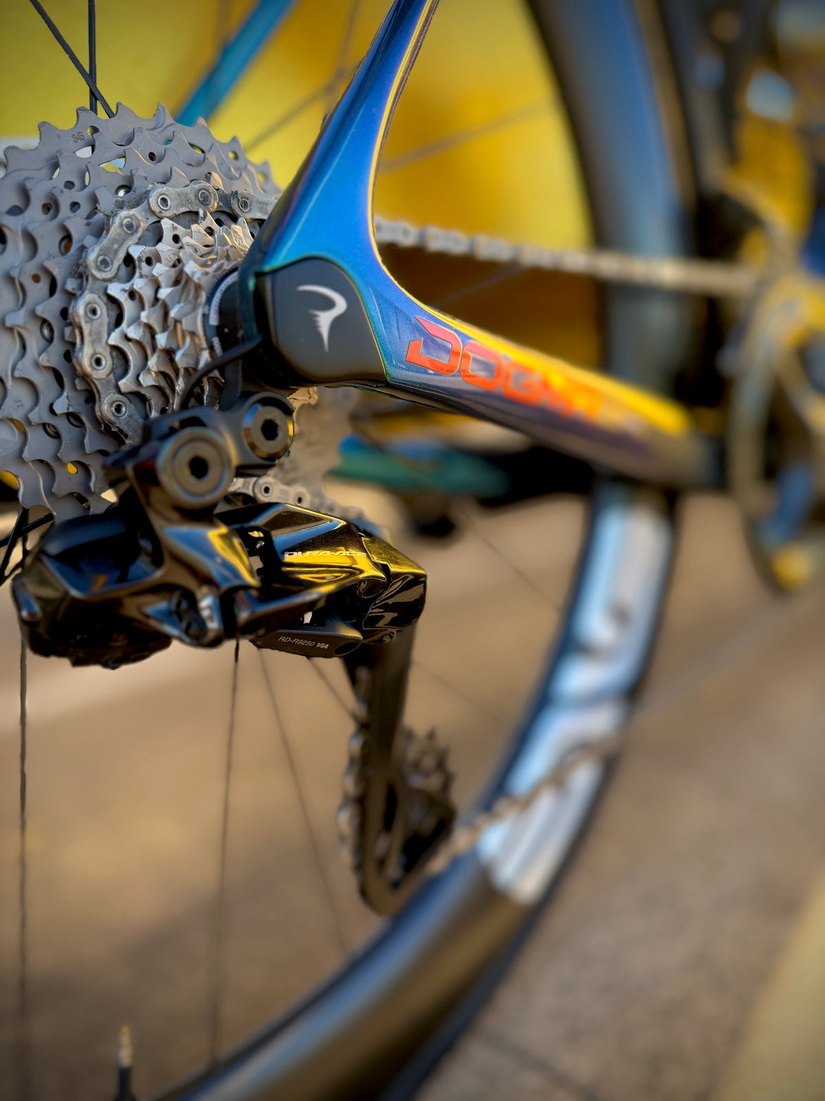 Pinarello Dogma X in turquoise, built at In Velo Veritas in Old Sacramento