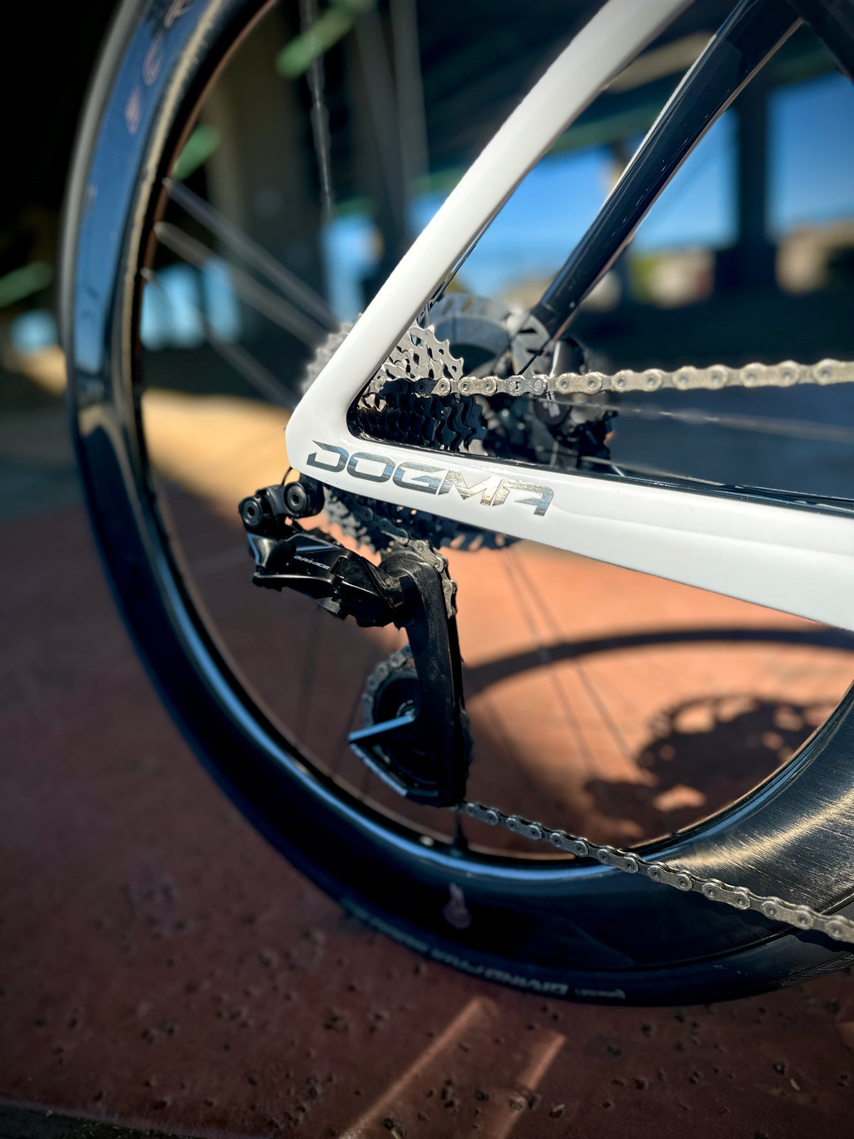Pinarello Dogma F in white, built at In Velo Veritas in Old Sacramento