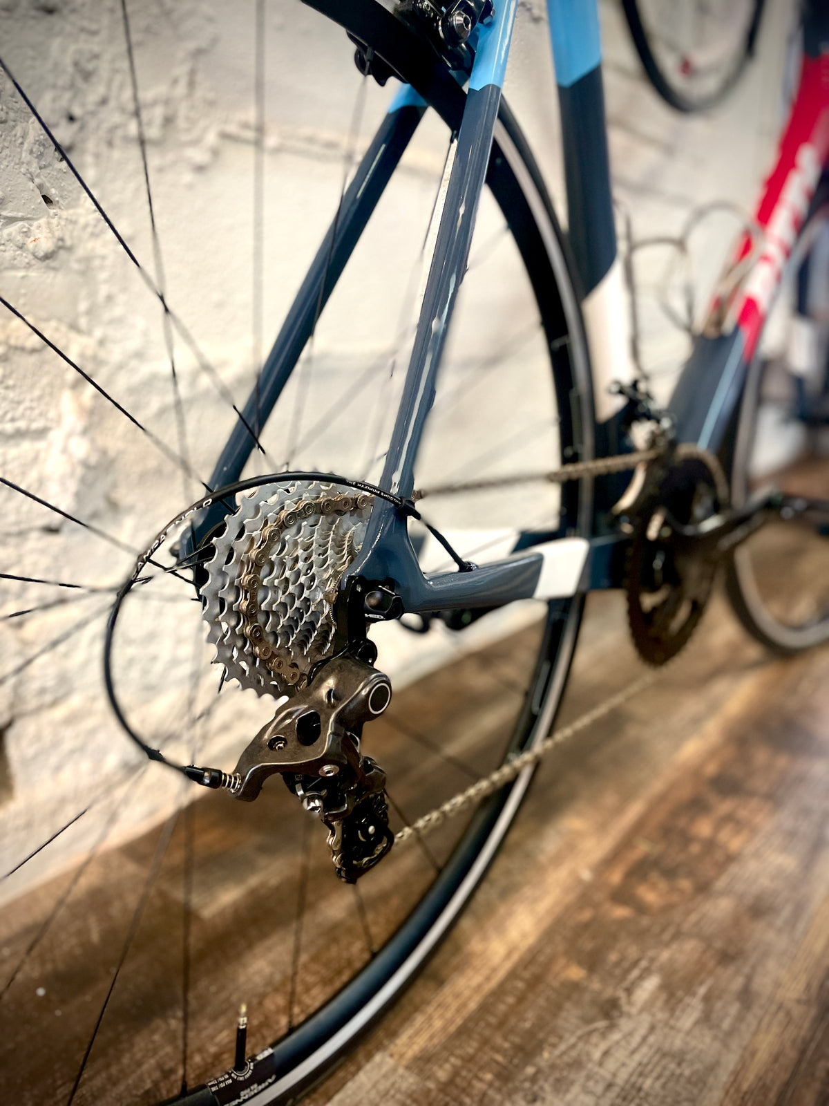Ritte Ace — Red Tricolor