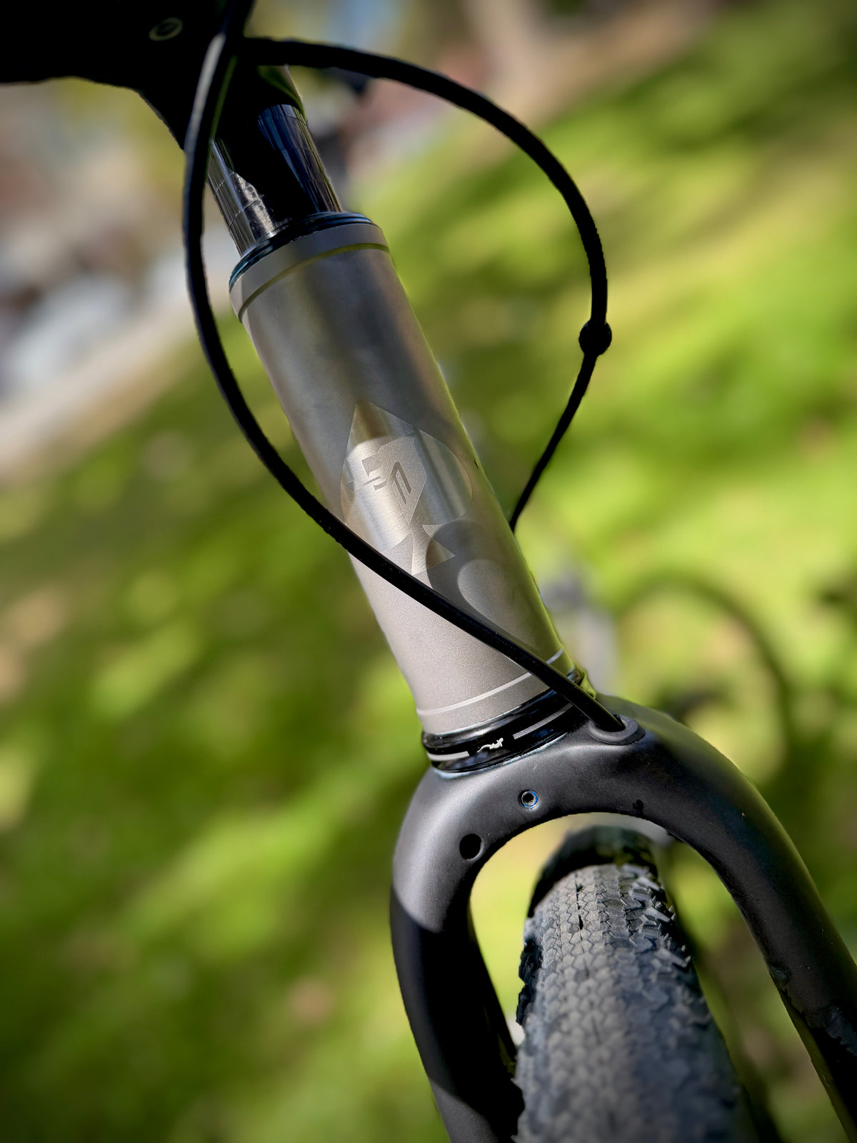 Ritte SaTir, built at In Velo Veritas in Old Sacramento
